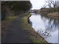 SO9591 : The Birmingham Canal near Burnt Tree by Gordon Griffiths
