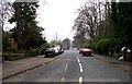 Sholebrook Avenue - Chapeltown Road