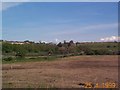 Chadwell from the marshes