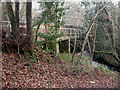 Chewton Bunny, footbridge