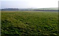 Water Meadows, Higher Waterston