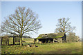 Derelict barn, Langleybury