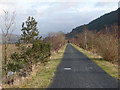 The Mawddach Trail