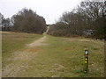 Bridleway running alongside the A14