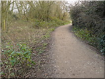 SK5235 : Attenborough Nature Reserve Path to the river by Andy Jamieson