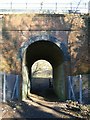 Railway Bridge over footpath, Chipstead Bottom