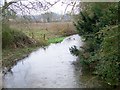 Allen River, Damerham