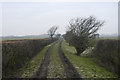 SD4453 : Track to Thursland Hill by Tom Richardson