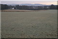 Fields at Balloch, Alyth