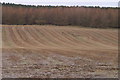 NO2850 : Fields and forestry, Shanzie, Alyth by Mike Pennington