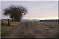 Track and hawthorn, Shanzie, Alyth