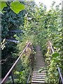 Aerial Walkway within Garden