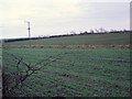 Fields Near Moor Road