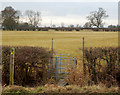 Kissing gate, sign and plank bridge, near Napton