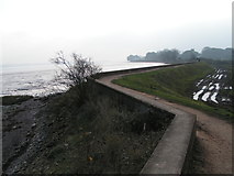 SX9784 : River bank and path near Powderham, looking south by Rob Purvis