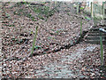 steps leading down from Longfield Road