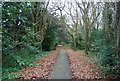 Footpath across Rusthall Common