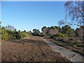 Frensham Common