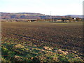 Power Lines across the fields