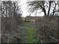 Footpath and level crossing