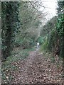 Bridleway to Leatherhead