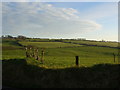 Farmland near Knockagh