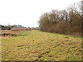 Swale floodbank at Kiplin