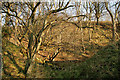 An old disused quarry on Blaikie