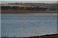 A View northwards over Montrose Basin and into Hillside Village