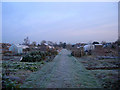 Allotments, Albourne Road