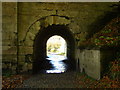 Foot path under Bridge over Calder Water