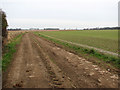 Track across fields to West Somerton