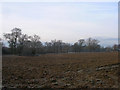 Frozen Field near London Road