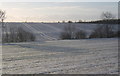 Snowy fields near Creeting St Peter