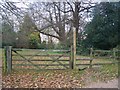 Footpath on Bowesden Lane