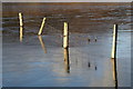 HP5904 : Frozen fence, Loch of Watlee by Mike Pennington