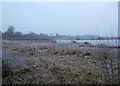 Doxey Marsh