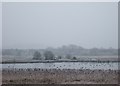 Doxey Marsh