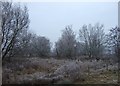 Doxey Marshes in winter