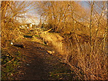 SK4631 : Path by the Trent near Sawley by Andy Jamieson