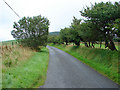 The lane between Pen-rhiw-newydd and Garn-wen