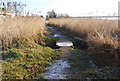 Small footbridge over a creek by the R. Exe