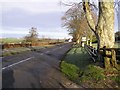 Gortin Road, Mountjoy Forest East