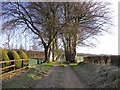 H4576 : Tree sided lane, Mountjoy Forest East by Kenneth  Allen