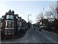 Looking up Muswell Hill