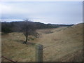 Looking East to Meikle Kildrummie from Easter Lochend