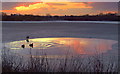 Sunset over Bedfords Park pond