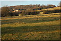 Fields at Westfield, near Cradley