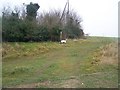 Footpath junction on Muggins Lane