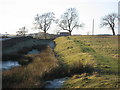 NY8671 : The north defensive ditch of Hadrian's Wall east of High Teppermoor by Mike Quinn